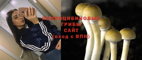 спиды Наволоки