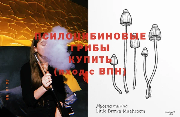 спиды Наволоки